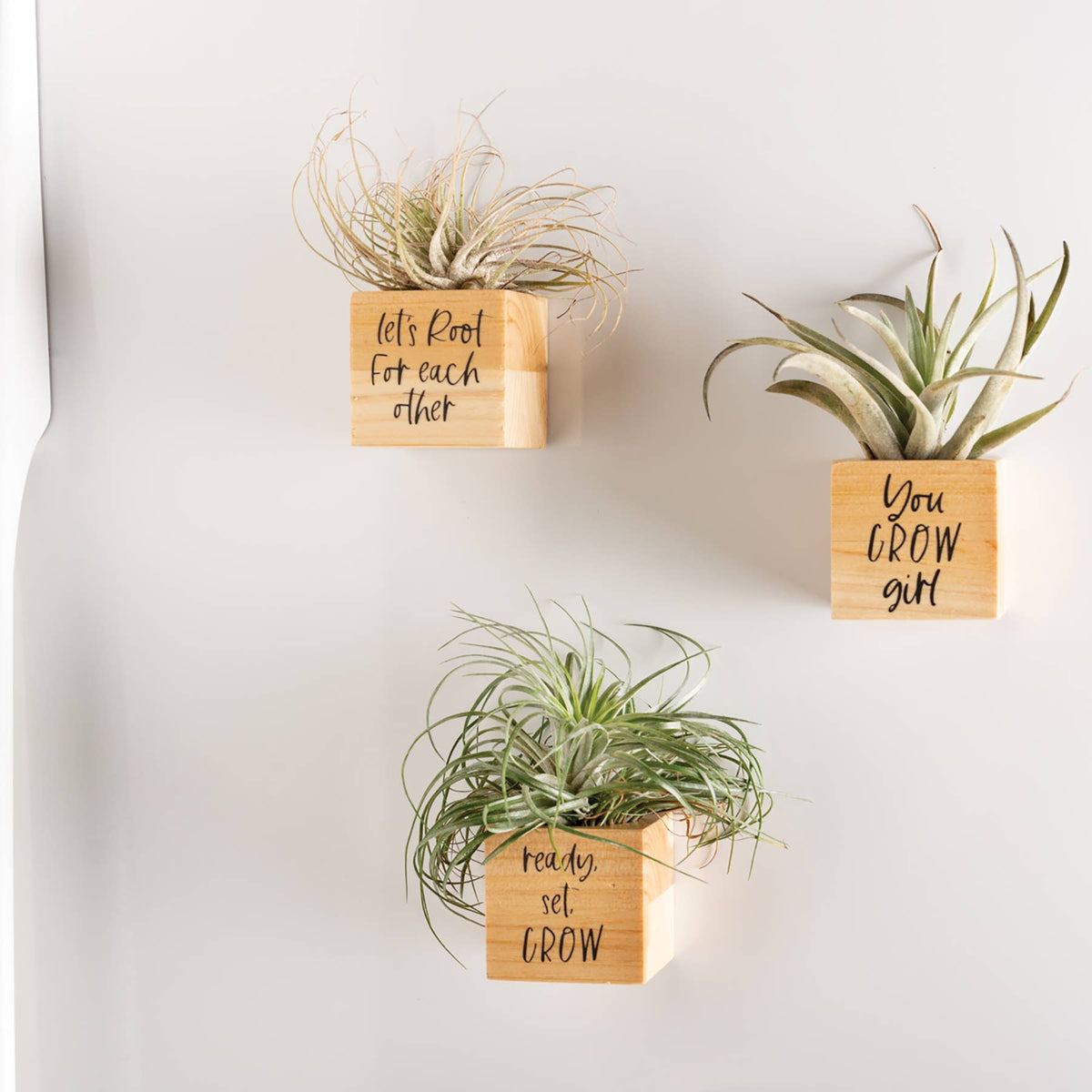 You Grow Planter Magnets