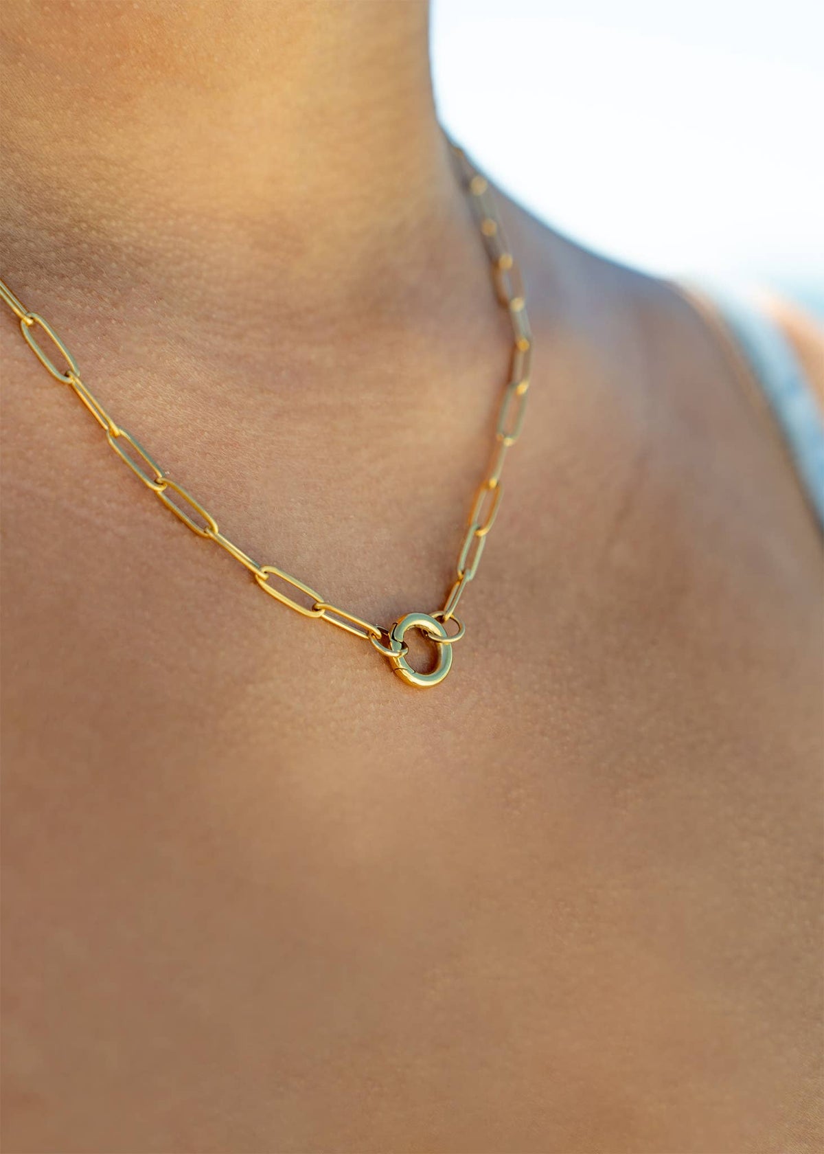 Paperclip Carabiner Charm Holder Necklace