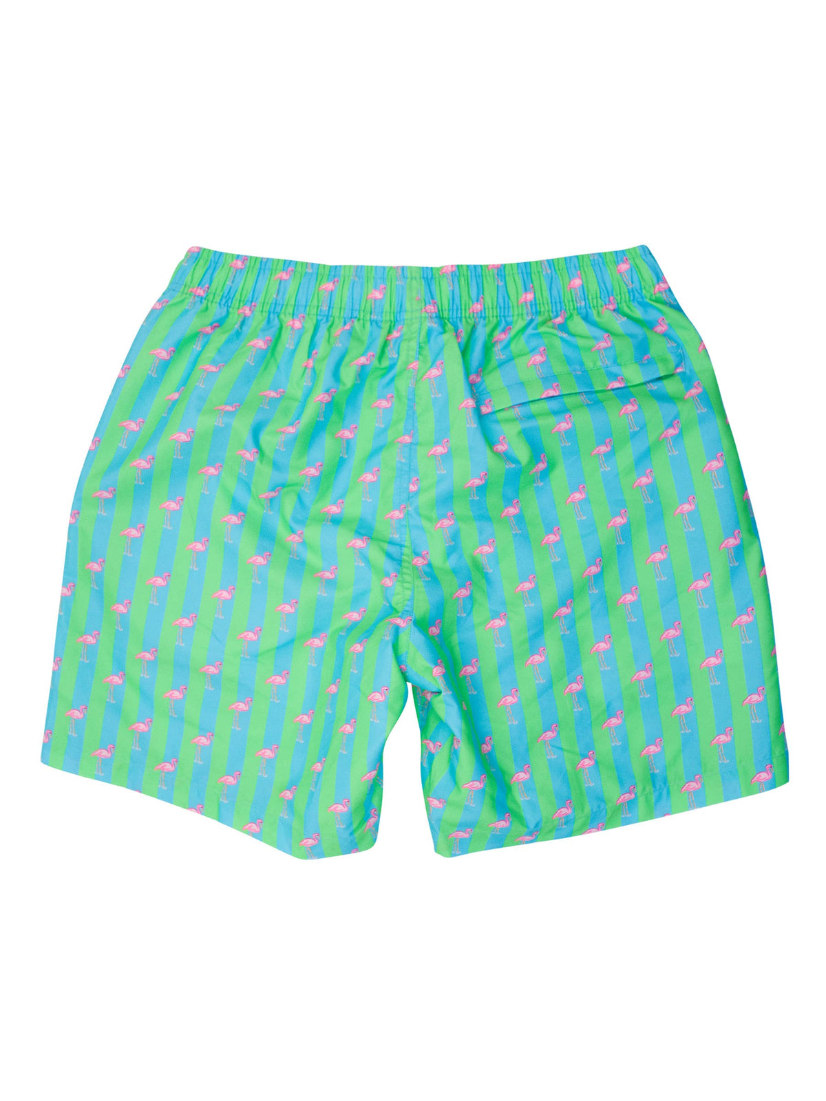 Men's Neon Flamingo Stripe Swim Trunks: Green / Men's XL