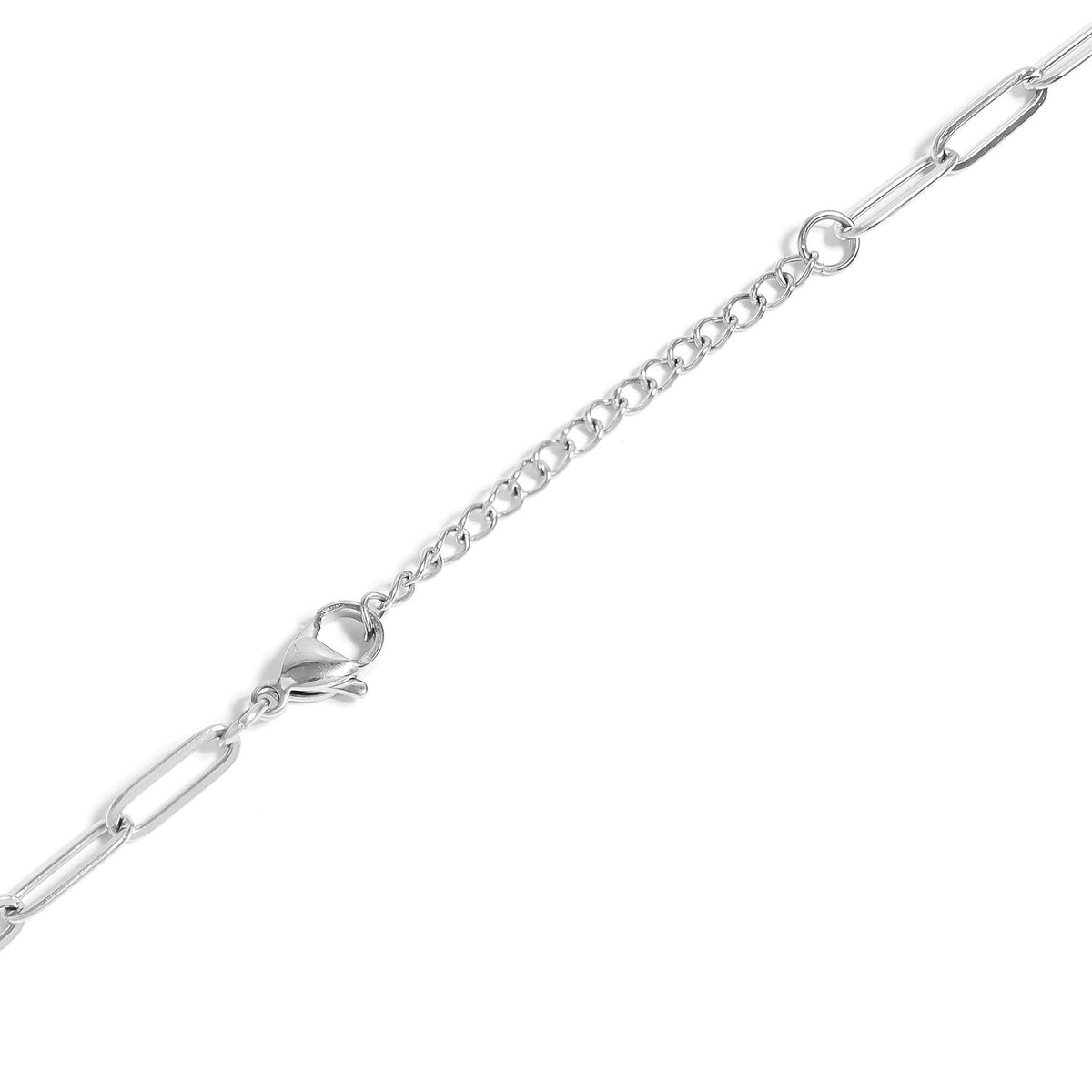 Paperclip Carabiner Necklace 18K PVD